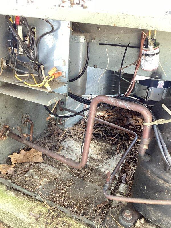 # HVAC Maintenance - Planned Single Maintenance

Completed comprehensive air conditioning maintenance on outdoor condensing unit. Upon arrival, discovered significant accumulation of organic debris including dried grass, leaves, and nesting material within the unit housing that was obstructing airflow and surrounding refrigerant lines. Removed all debris from interior compartment and cleaned around copper tubing and electrical components. Inspected capacitor, contactor, and all electrical connections for proper operation. Verified refrigerant lines, service valves, and connections showed no signs of active leakage. Cleaned condenser coil fins and fan assembly. Unit restored to proper operating condition with improved airflow and system efficiency.