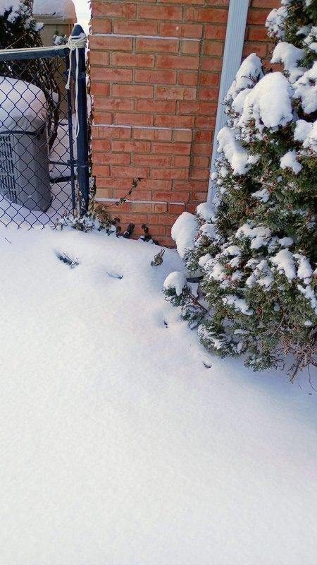 South Bend, IN - Conducted site inspection for potential gas line installation from meter to accommodate customer's planned deck construction. Assessed exterior conditions including brick structure and surrounding area, which was covered in snow. Documented current site layout with photographs to support future installation planning.