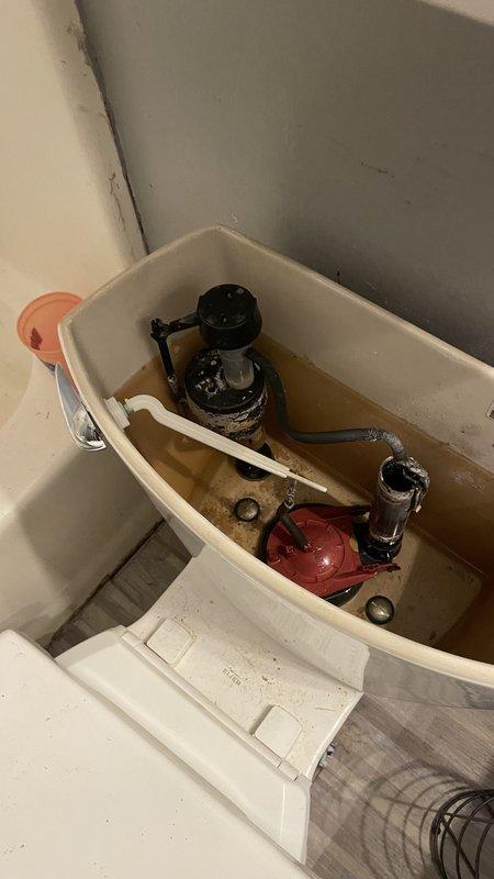 Responded to emergency call for water intrusion in utility area affecting water heater and plumbing infrastructure. Upon arrival, found extensive flooding with contaminated water and debris throughout the space, indicating a significant pipe failure or burst line. Shut off main water supply to prevent further property damage. Assessed plumbing assembly including multiple connection points, valves, and pressure relief components for source of leak. Documented severe water damage to flooring and surrounding area with thick sediment accumulation. Inspected secondary plumbing fixtures including toilet tank which showed signs of water quality issues with discolored water and mineral buildup in fill valve and flush valve assemblies. Cleared immediate water hazard and identified compromised piping requiring replacement. Provided recommendations for water extraction, structural drying, and complete pipe repair to restore system integrity and prevent future failures.